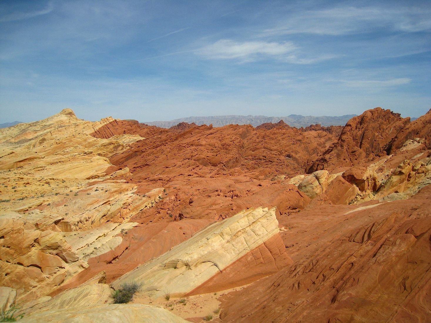 Nevada